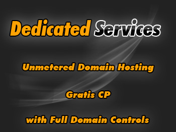 Top dedicated server provider